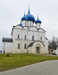 Fototapeta na wymiar Katedra Narodzenia Pańskiego w Suzdal Kremlu w Rosji