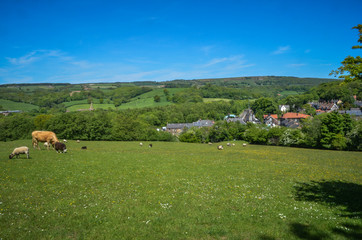 Grosmont town and railway station