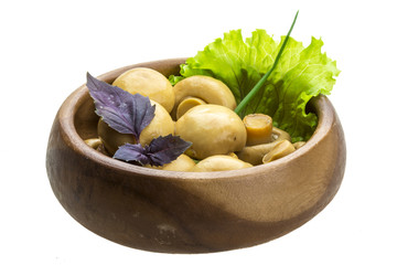 Ripe fresh Champignon