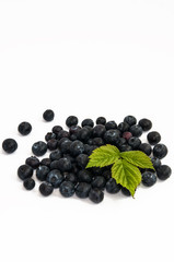 Gourmet berries