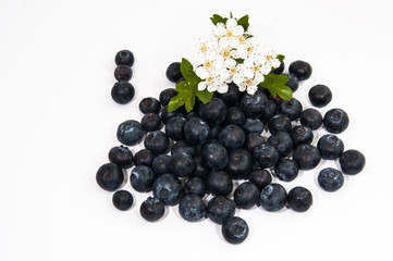 Huckleberries