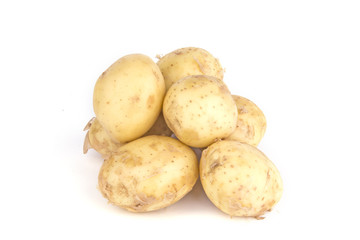 isolated young potato