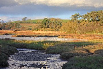 River Otter, Budleigh Salterton
