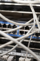 Network Cables Connected to Server
