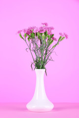 Many small pink cloves in vase on pink background