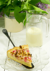 Piece of rhubarb pie