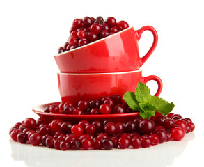 Ripe red cranberries in cups, isolated on white.