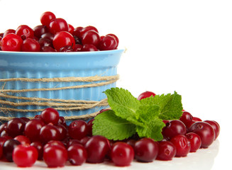 Ripe red cranberries in bowl, isolated on white.