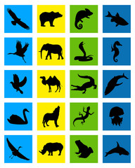 animal icon