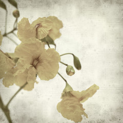 textured old paper background