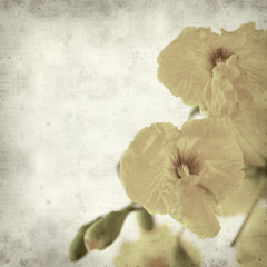textured old paper background