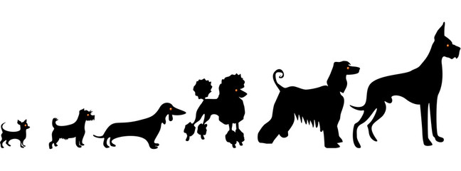 Funny dogs silhouettes