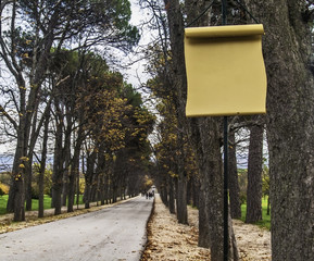 Forest sign on blank