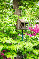 Fototapeta na wymiar Birdhouse in the Garden