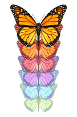 Spread Your Wings