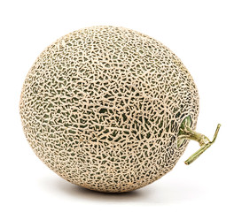 single melon