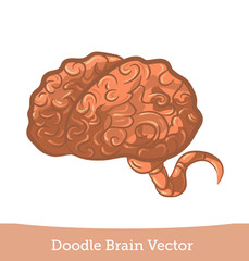 doodle brain