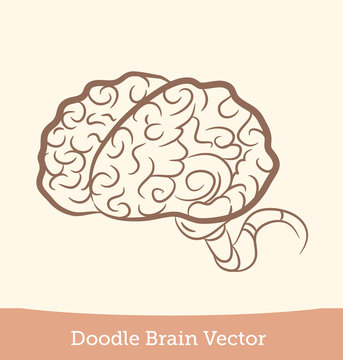 doodle brain