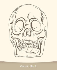 vector ink skull