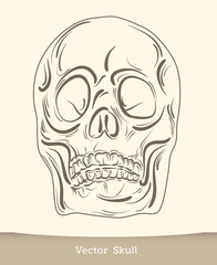 Fototapeta premium vector ink skull
