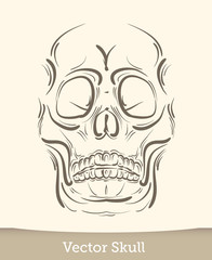 vector ink skull