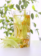 Glass of tea and linden flowers on light background
