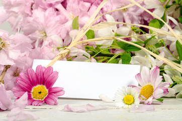 Obraz na płótnie Canvas Gutschein mit Margeriten, Gänseblümchen und Kirschblüten