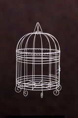 Obraz na płótnie Canvas White birdcage