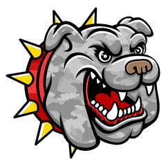 Bulldog head