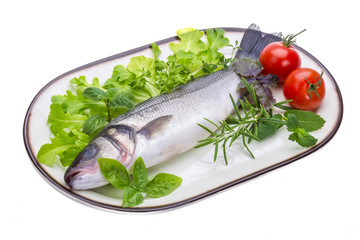 Raw seabass