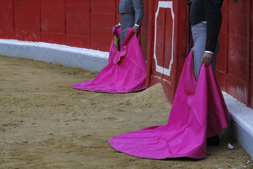 Torero