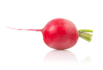 Radish on White Background