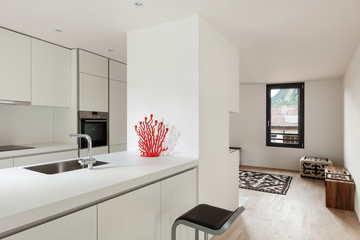 Obraz na płótnie Canvas interior new house, modern white kitchen