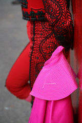 Naklejka premium Torero