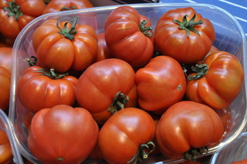 Tomaten