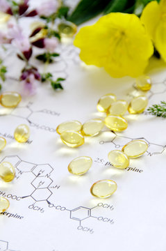 evening primrose and capsules on science sheet