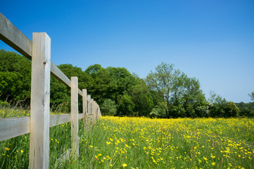 Fence by meadow