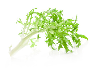 Lettuce leaves isolated on white background