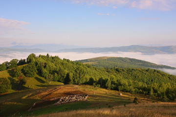 Obraz premium Beautiful landscape with sheep enclosure