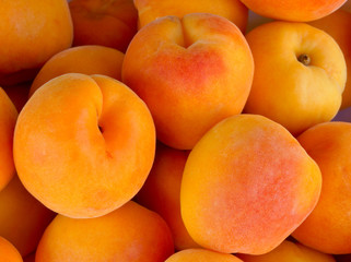 Fresh natural apricots