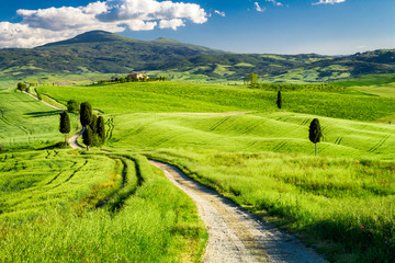 Beautiful view of the path between the fields in Tuscany