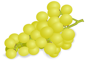 Bunch of white grapes