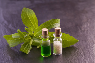 stevia rebaudiana herb essence and globule