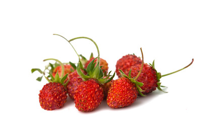 wild strawberry isolated