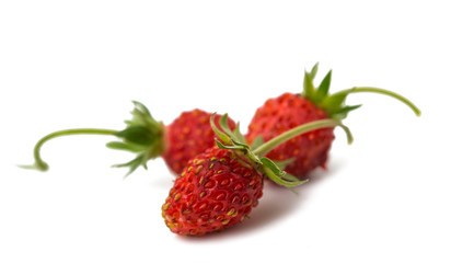 wild strawberry isolated