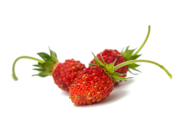 wild strawberry isolated