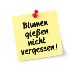 Notizzettel Blumen gießen nicht vergessen