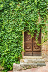 Ancient ivy-clad house with wood door