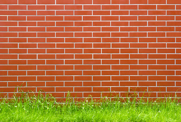 Red brick wall with grass floor