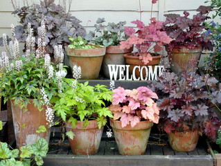 welcome garden